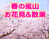 10/1(土)13:00嵐山モンキーパーク&嵐山おさんぽ【体験婚活・体験恋活】