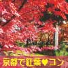 11/25(日)12:45〜 京都府立植物園で男女ペアの紅葉デート♪